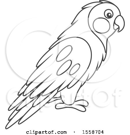 Clipart of a Lineart Lovebird - Royalty Free Vector Illustration by Alex Bannykh