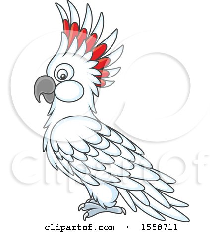 Clipart of a Cockatoo - Royalty Free Vector Illustration by Alex Bannykh