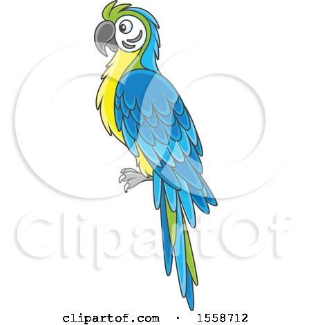Clipart of a Blue and Yellow Macaw Parrot - Royalty Free Vector Illustration by Alex Bannykh