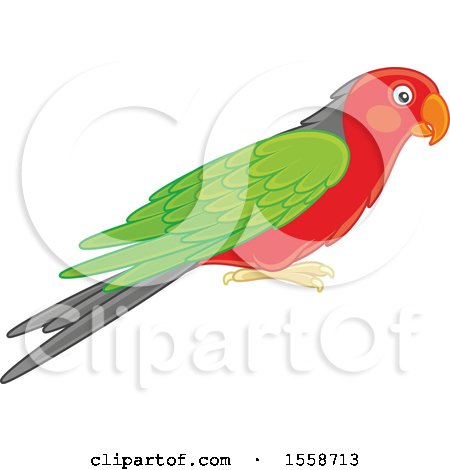 Clipart of a Parrot - Royalty Free Vector Illustration by Alex Bannykh