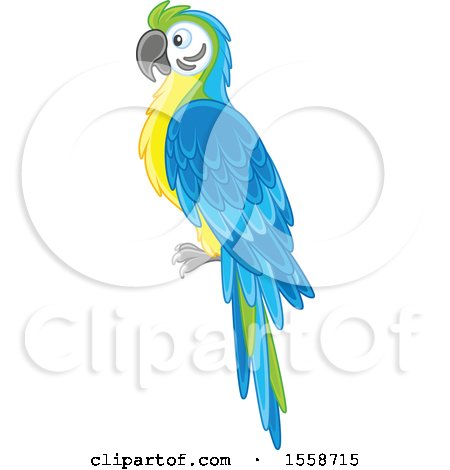 Clipart of a Blue and Gold Macaw Parrot - Royalty Free Vector Illustration by Alex Bannykh