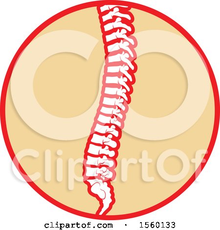 Clipart of a Human Spine Design - Royalty Free Vector Illustration by Vector Tradition SM