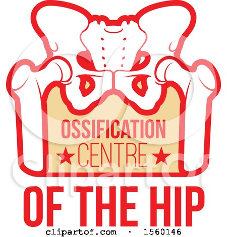 Clipart of a Human Pelvis with Ossification Centre of the Hip Text - Royalty Free Vector Illustration by Vector Tradition SM