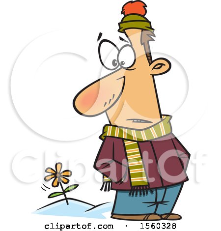 Clipart of a Cartoon White Man in Winter Clothes, Seeing a Spring Flower - Royalty Free Vector Illustration by toonaday