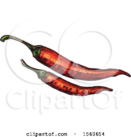 Clipart of Sketched Red Peppers - Royalty Free Vector Illustration by Vector Tradition SM