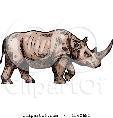 Clipart of a Sketched Rhinoceros Walking - Royalty Free Vector Illustration by Vector Tradition SM