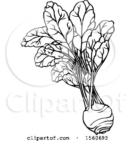 Clipart of a Black and White Kohlrabi - Royalty Free Vector Illustration by Lal Perera