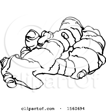 Clipart of Black and White Ginger Root - Royalty Free Vector Illustration by Lal Perera