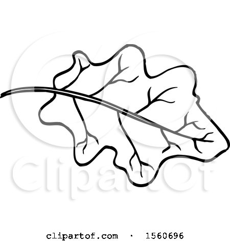 Clipart of a Black and White Eggplant Leaf - Royalty Free Vector Illustration by Lal Perera