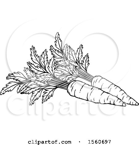 clipart carrot black and white images