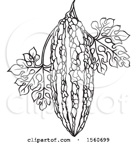 Clipart of a Black and White Bitter Gourd - Royalty Free Vector Illustration by Lal Perera