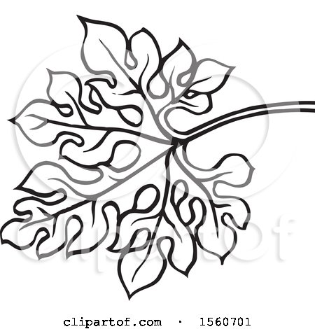 Clipart Of A Black And White Bitter Gourd Leaf Royalty Free