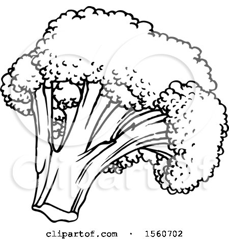 Clipart of Black and White Broccoli - Royalty Free Vector Illustration by Lal Perera