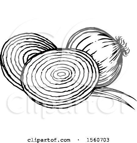 Clipart of Black and White Onions - Royalty Free Vector Illustration by Lal Perera