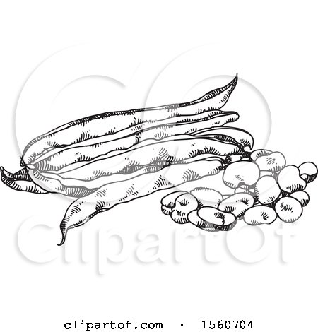Clipart of Black and White Beans and Pods - Royalty Free Vector Illustration by Lal Perera