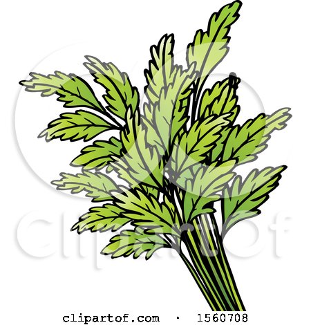 Clipart of a Bunch of Leaves - Royalty Free Vector Illustration by Lal Perera