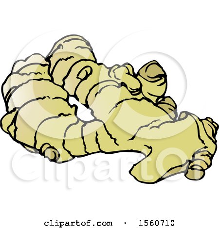 Clipart of Ginger Root - Royalty Free Vector Illustration by Lal Perera
