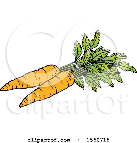 Clipart of Carrots - Royalty Free Vector Illustration by Lal Perera