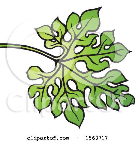 Clipart of a Bitter Gourd Leaf - Royalty Free Vector Illustration by Lal Perera