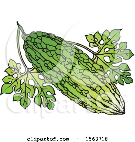 Clipart of a Bitter Gourd - Royalty Free Vector Illustration by Lal