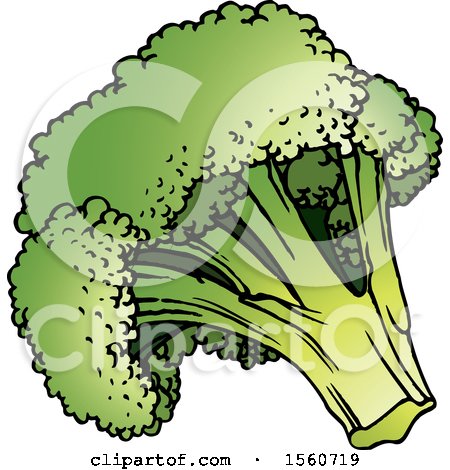 Clipart of Broccoli - Royalty Free Vector Illustration by Lal Perera