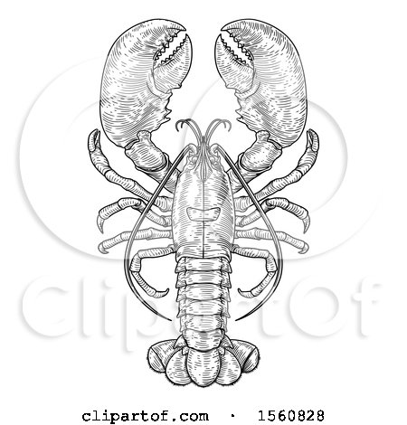 Clipart of a Retro Black and White Engraved Lobster - Royalty Free Vector Illustration by AtStockIllustration