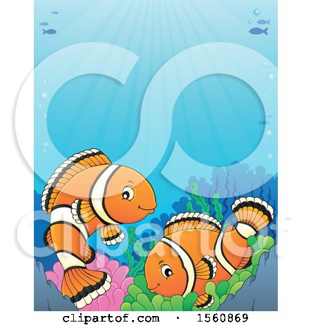 Clipart of a Clownfish Pair - Royalty Free Vector Illustration by visekart