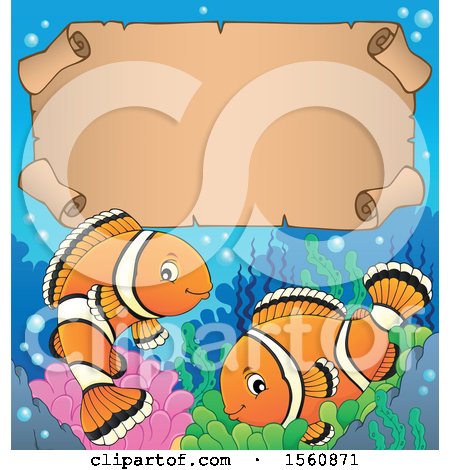 Clipart of a Clownfish Pair with a Scroll - Royalty Free Vector Illustration by visekart