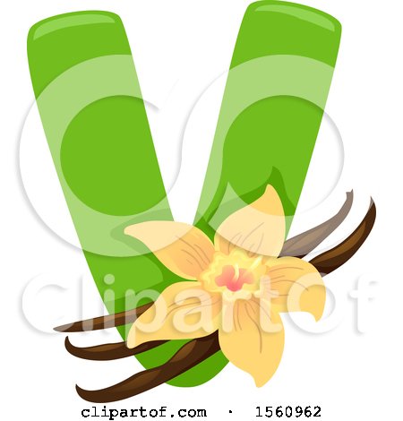 Clipart of a Letter V and Vanilla - Royalty Free Vector Illustration by BNP Design Studio