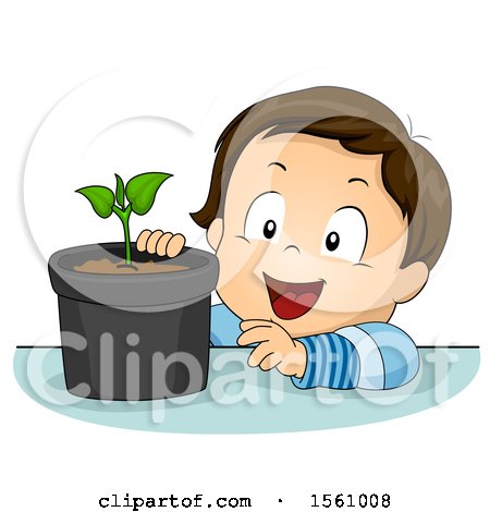 Clipart of a Toddler Boy Observing a Potted Plant - Royalty Free Vector Illustration by BNP Design Studio