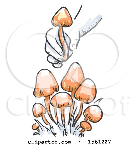 Clipart of a Hand Picking an Orange Magic Mushroom - Royalty Free Vector Illustration by BNP Design Studio