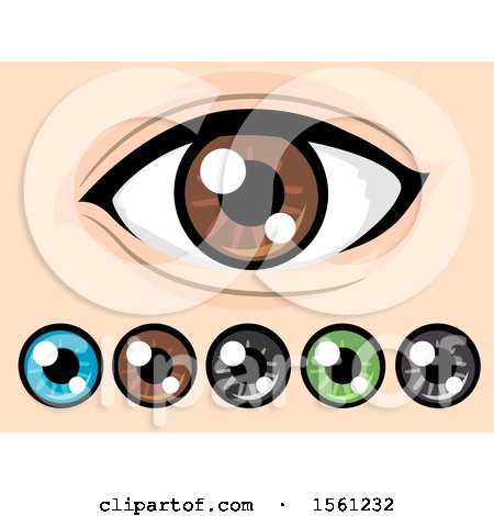 Clipart of Different Colored Eyes - Royalty Free Vector Illustration by BNP Design Studio