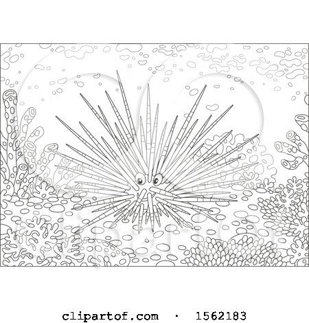 Clipart of a Lineart Sea Urchin at a Reef - Royalty Free Vector Illustration by Alex Bannykh