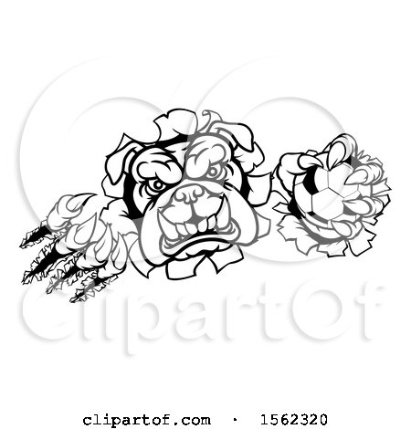 Clipart of a Black and White Bulldog Monster Shredding Through a Wall with a Soccer Ball in One Hand - Royalty Free Vector Illustration by AtStockIllustration