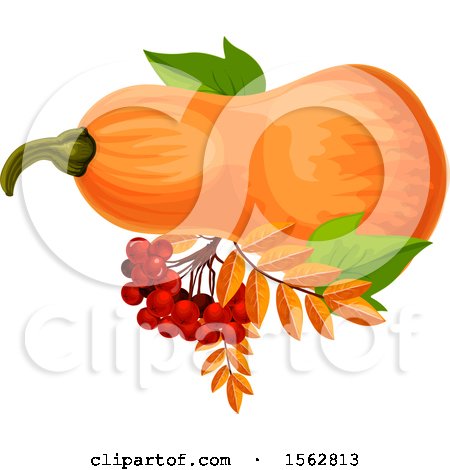 Clipart of a Seasonal Fall Autumn Design with a Squash - Royalty Free Vector Illustration by Vector Tradition SM
