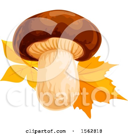 Clipart of a Seasonal Fall Autumn Design with a Mushroom and Leaves - Royalty Free Vector Illustration by Vector Tradition SM
