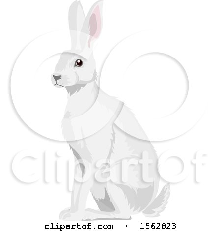 Clipart of an Alert White Bunny Rabbit - Royalty Free Vector Illustration by Vector Tradition SM