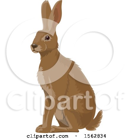 Clipart of an Alert Brown Bunny Rabbit - Royalty Free Vector Illustration by Vector Tradition SM