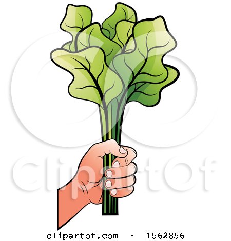 Clipart of a Hand Holding Radish Leaves - Royalty Free Vector Illustration by Lal Perera