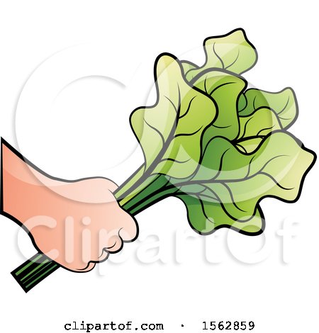Clipart of a Hand Holding Radish Leaves - Royalty Free Vector Illustration by Lal Perera