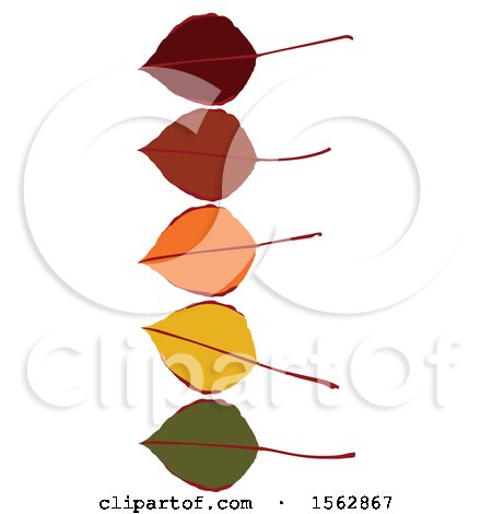 Clipart of Colorful Autumn Leaves - Royalty Free Vector Illustration by Dennis Holmes Designs