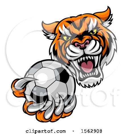 Clipart of a Vicious Tiger Sports Mascot Grabbing a Soccer Ball - Royalty Free Vector Illustration by AtStockIllustration