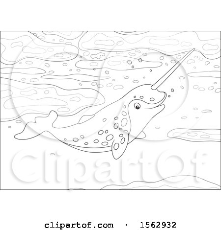 Clipart of a Lineart Narwhal Swimming - Royalty Free Vector Illustration by Alex Bannykh
