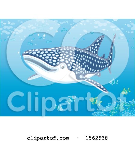 Clipart of a Whale Shark and Fish over a Reef - Royalty Free Vector Illustration by Alex Bannykh