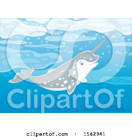Clipart of a Cute Narwhal Swimming - Royalty Free Vector Illustration by Alex Bannykh