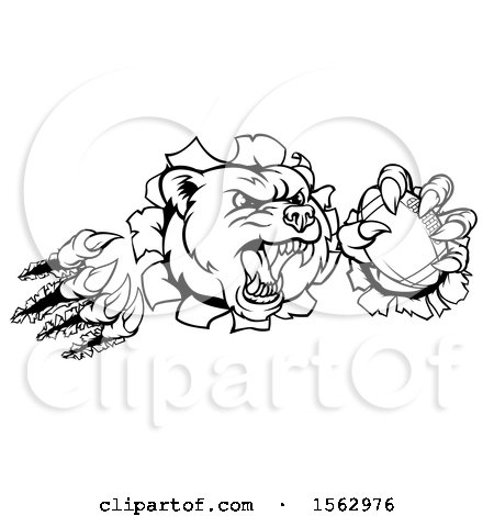 Clipart of a Black and White Vicious Aggressive Bear Mascot Slashing Through a Wall with a Football in a Paw - Royalty Free Vector Illustration by AtStockIllustration