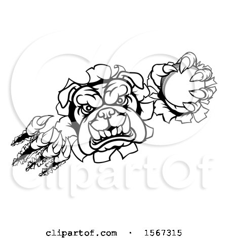 Clipart of a Black and White Bulldog Monster Shredding Through a Wall with a Cricket Ball in One Hand - Royalty Free Vector Illustration by AtStockIllustration