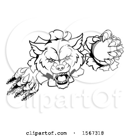 Clipart of a Black and White Wolf Slashing Through a Wall with a Cricket Ball - Royalty Free Vector Illustration by AtStockIllustration
