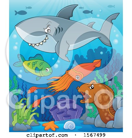 Clipart of a Grinning Shark over Other Sea Creatures - Royalty Free Vector Illustration by visekart