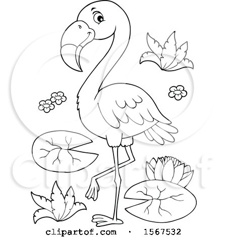 Clipart of a Lineart Flamingo - Royalty Free Vector Illustration by visekart